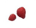 /products/fresita-de-calella/